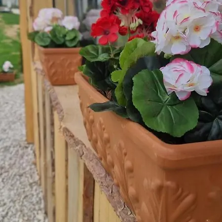 Apartment Romantic Jacuzzi Hideaway Near Heviz Rezi