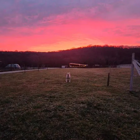شقة Romantic Jacuzzi Hideaway Near Heviz *